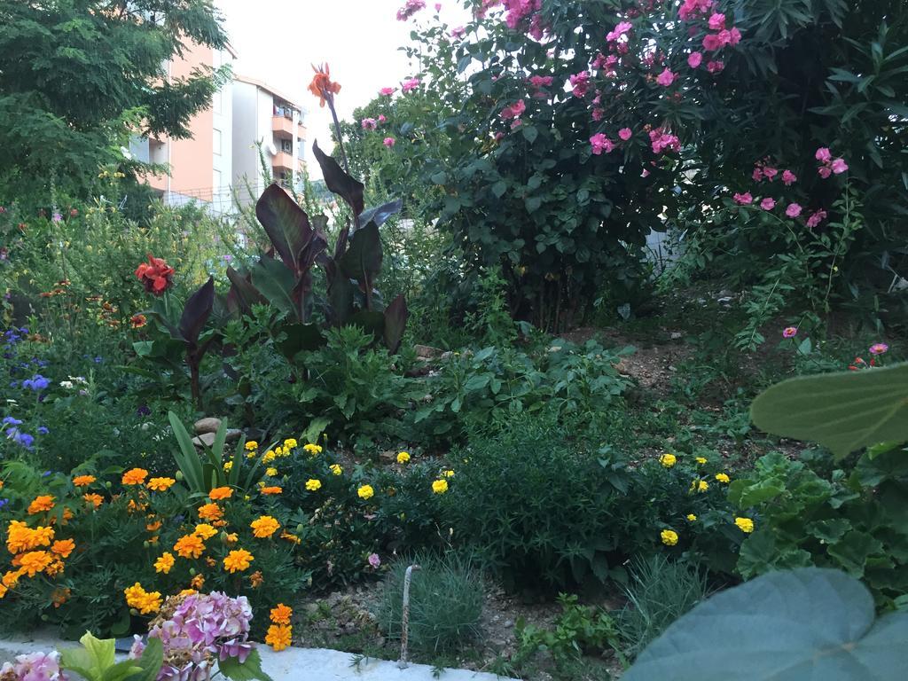 Mfs Apartments Mostar Kültér fotó